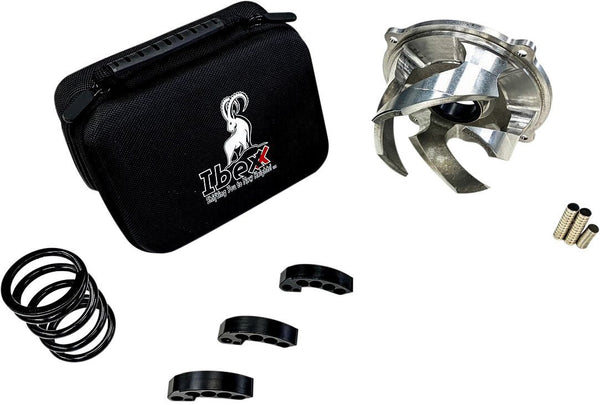 IBEXX 11726-2 Stage 2 Clutch Kit - sxspowersports