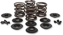 Kibblewhite Precision 20-21150 Complete Valve Spring Kit - .600in. Lift - sxspowersports