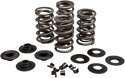 Kibblewhite Precision 20-21650 Racing Valve Spring Kit - .650in Lift - sxspowersports