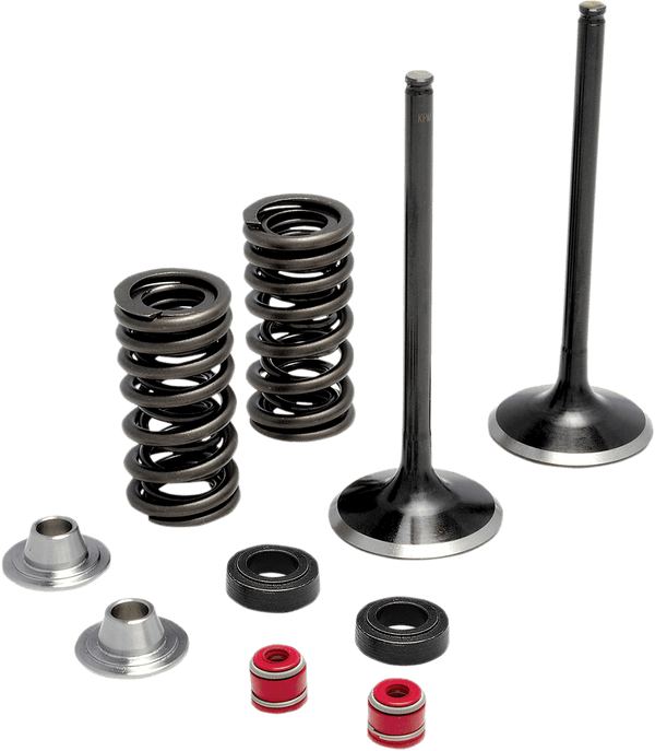 Kibblewhite Precision 20-21650 Racing Valve Spring Kit - .650in Lift - sxspowersports