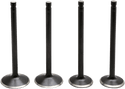 Kibblewhite Precision 20-22700 Valve Kit - sxspowersports
