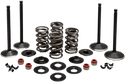 Kibblewhite Precision 20-23050 Engine Valve Kit - sxspowersports