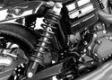 Legends 1310-0943 Revo Coil Suspension - 13in. - sxspowersports