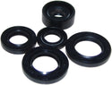 MOGO PARTS 02-1000 Oil Seal Kit - sxspowersports