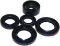 MOGO PARTS 02-1000 Oil Seal Kit - sxspowersports