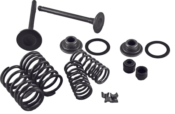 MOGO PARTS 61-0200 Horizontal Engine Valve Kit - sxspowersports