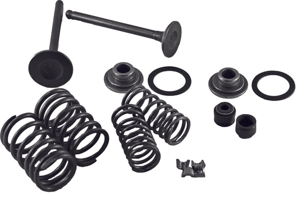 MOGO PARTS 61-0202 Horizontal Engine Valve Kit - sxspowersports