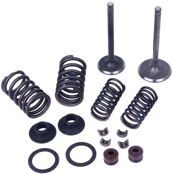 MOGO PARTS 61-0214 VOG/Linhai Engine Valve Kit - sxspowersports