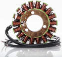 RICKS 21-007 Stator - sxspowersports