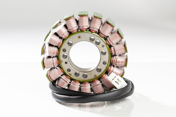 RICKS 21-011 Stator - sxspowersports