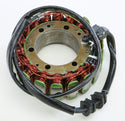 RICKS 21-108 Stator - sxspowersports
