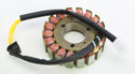 RICKS 21-308 Stator - sxspowersports