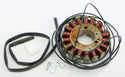 RICKS 21-309 Stator - sxspowersports