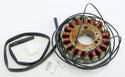 RICKS 21-309 Stator - sxspowersports