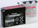 YUASA YUAM62T4B AGM Maintenance Free Battery - sxspowersports