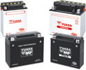 Yuasa YUAM7RH4L Factory Activated Maintenance Free 12V Battery - YTX14L - sxspowersports